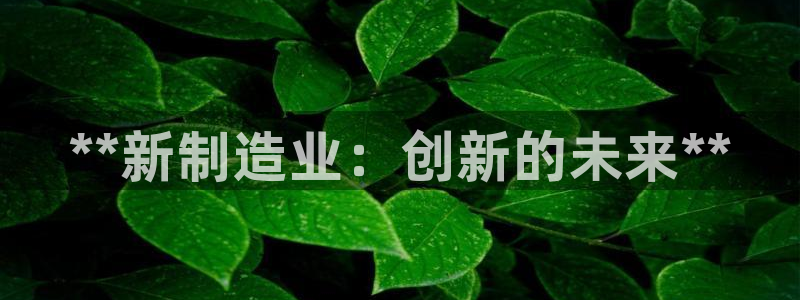 彩神8购彩-购彩大厅：**新制造业：创新的未来**