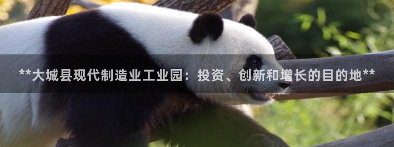 天天彩神welcome：**大城县现代制造业工业园：投资、创