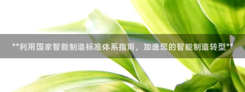 彩神平台是真的吗：**利用国家智能制造标准体系指南，加速您的