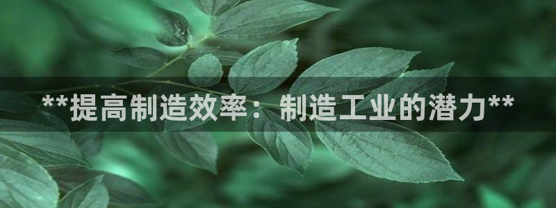 彩神赢钱了吗：**提高制造效率：制造工业的潜力**