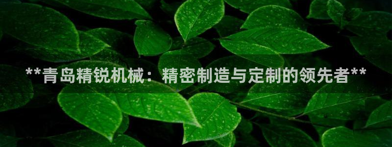 彩神vll官网-最新版app下载：**青岛精锐机械：精密制造与定制的领先者**