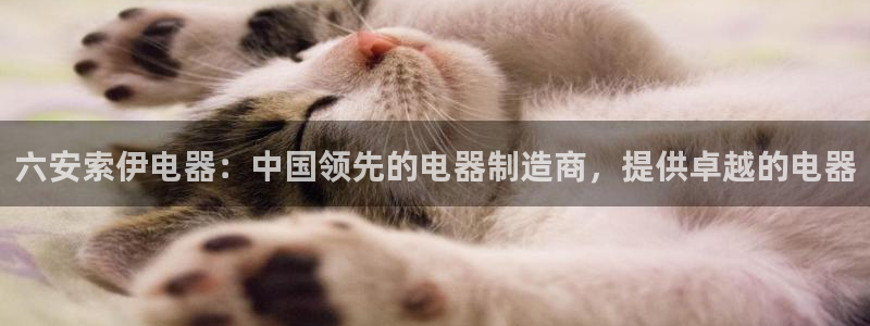 彩神vll购彩大厅大众：六安索伊电器：中国领先的电器制造商，提供卓越的电器