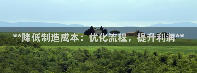彩神v8平台正规吗安全吗：**降低制造成本：优化流程，提升利润**