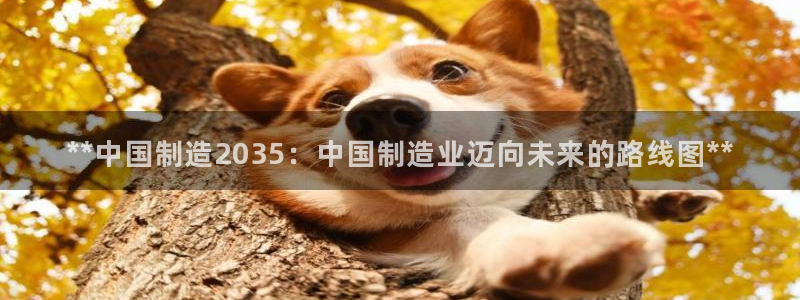 彩神Vll：**中国制造2035：中国制造业迈向未来的路线图**