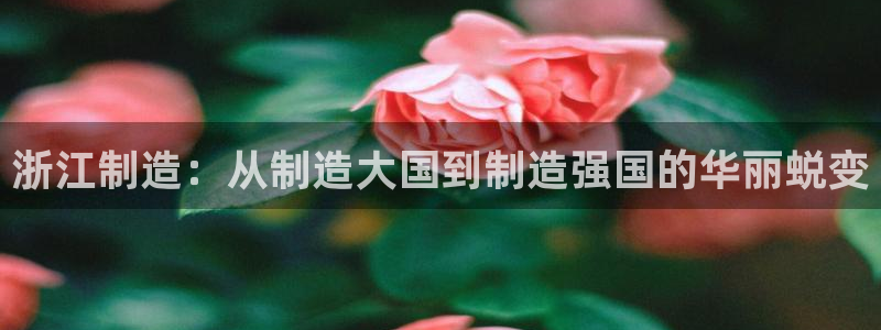 彩神大发官网：浙江制造：从制造大国到制造强国的华丽蜕变