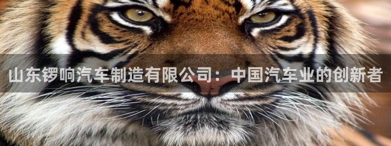 彩神vip购彩大厅下载：山东锣响汽车制造有限公司：中国汽车业的创新者