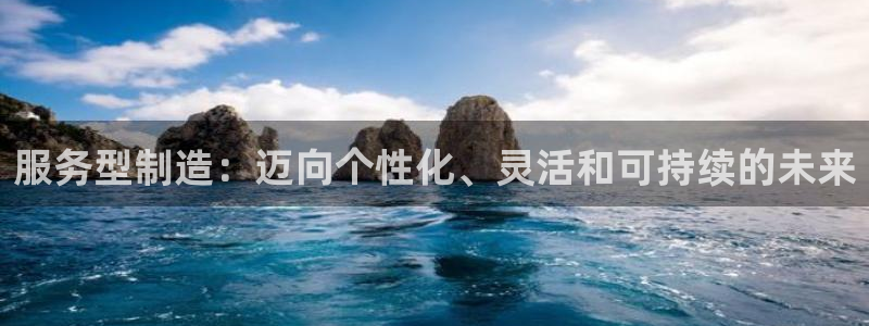 彩神怎么才能赢：服务型制造：迈向个性化、灵活和可持续的未来
