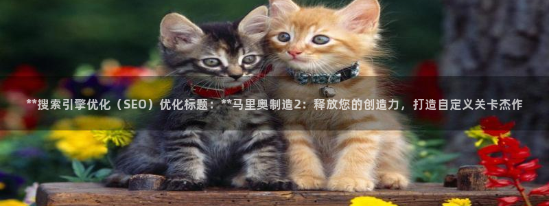 彩神v争霸是啥：**搜索引擎优化（SEO）优化标题：**马里奥制造2：释放您的创造力，打造自定义关卡杰作