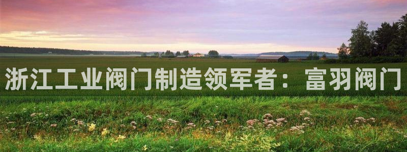 彩神8购彩-购彩大厅：浙江工业阀门制造领军者：富羽阀门