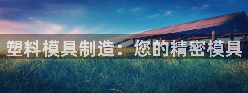在彩神网输了六万多怎么拿回来：塑料模具制造：您的精密模具