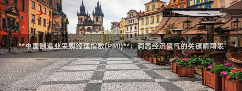 彩神 好 平台：**中国制造业采购经理指数(PMI)**：洞