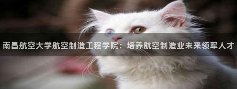 彩神购彩-购彩大厅入口36fr：南昌航空大学航空制造工程学院