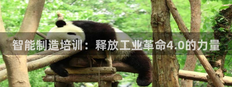 彩神v集团有限公司