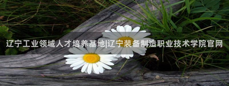 彩神ix官网：辽宁工业领域人才培养基地|辽宁装备制造职业技术学院官网