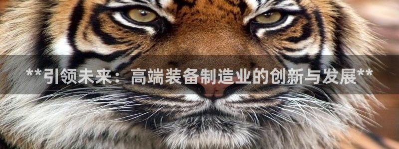 彩神ix官网：**引领未来：高端装备制造业的创新与发展**