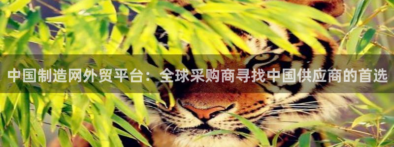 所有彩神购买首页：中国制造网外贸平台：全球采购商寻找中国供应商的首选