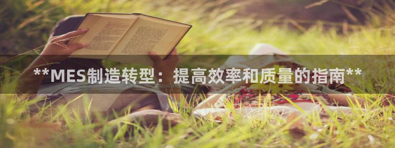 彩神vl官网：**MES制造转型：提高效率和质量的指南**