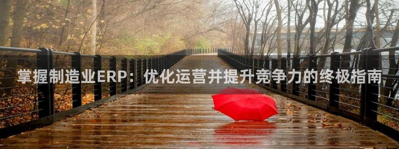 彩神大发三期计划网站：掌握制造业ERP：优化运营并提升竞争力的终极指南