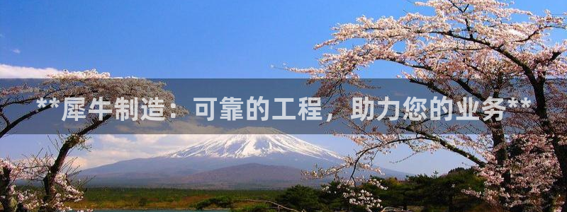 彩神vll购彩大厅：**犀牛制造：可靠的工程，助力您的业务*