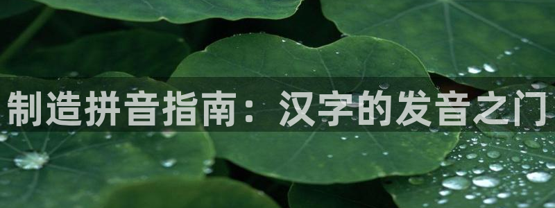 彩神ix是真的吗：制造拼音指南：汉字的发音之门
