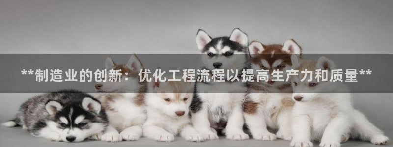 彩神v下载安装：**制造业的创新：优化工程流程以提高生产力和质量**