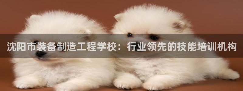 彩神ii官方网：沈阳市装备制造工程学校：行业领先的技能培训机构