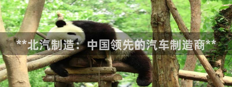 彩神v|：**北汽制造：中国领先的汽车制造商**
