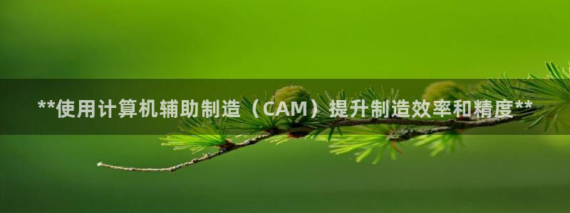 彩神v1官网：**使用计算机辅助制造（CAM）提升制造效率和
