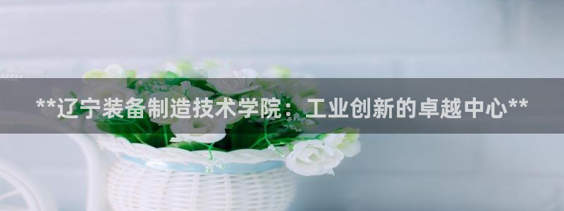 彩神Vii购彩-购彩大厅：**辽宁装备制造技术学院：工业创新