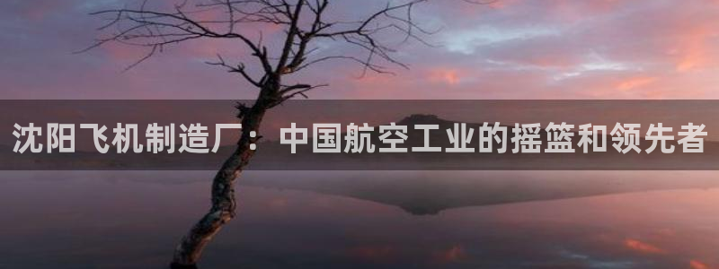 彩神8最新版下载：沈阳飞机制造厂：中国航空工业的摇篮和领先者