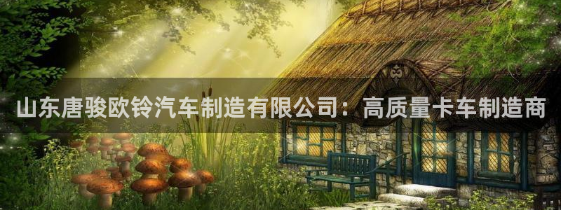 彩神v8客户端：山东唐骏欧铃汽车制造有限公司：高质量卡车制造商