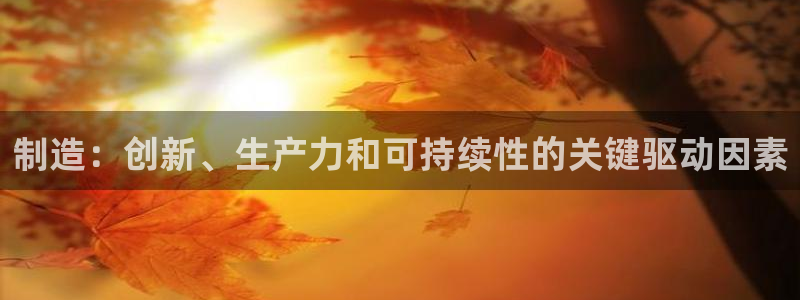 彩神购彩-购彩大厅入口下载：制造：创新、生产力和可持续性的关键驱动因素