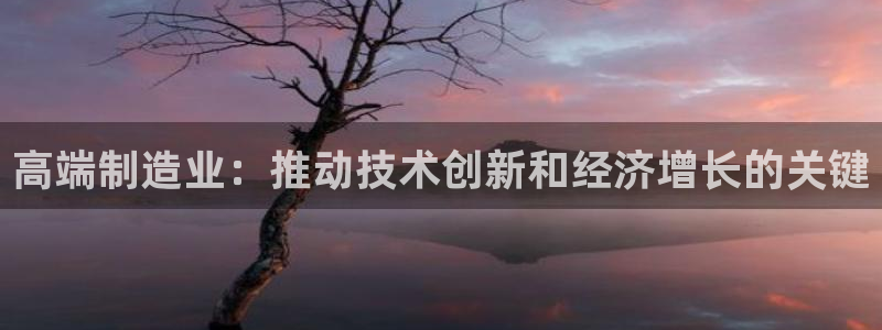 彩神是正规平台吗安全吗：高端制造业：推动技术创新和经济增长的关键