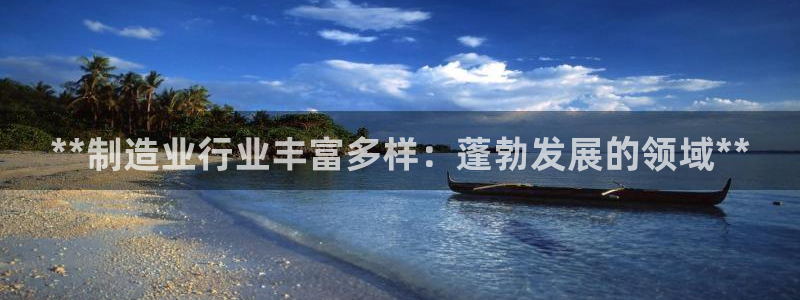 天天彩神welcome：**制造业行业丰富多样：蓬勃发展的领域**