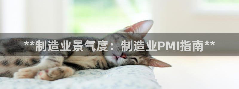 彩神vⅲ下载安装：**制造业景气度：制造业PMI指南**