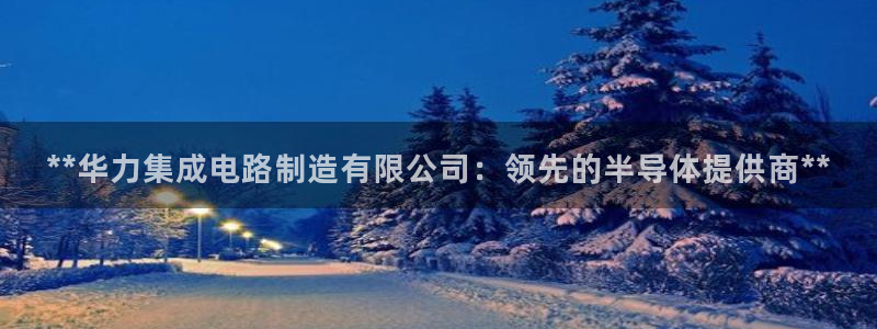 彩神VI首页：**华力集成电路制造有限公司：领先的半导体提供商**