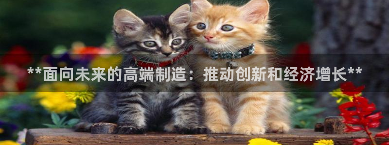 彩神vip购彩大厅在哪：**面向未来的高端制造：推动创新和经