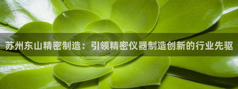 彩神v破解版