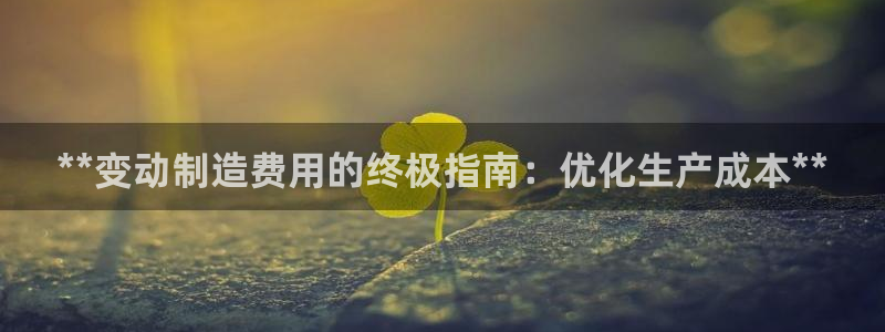 彩神v争霸是啥：**变动制造费用的终极指南：优化生产成本**