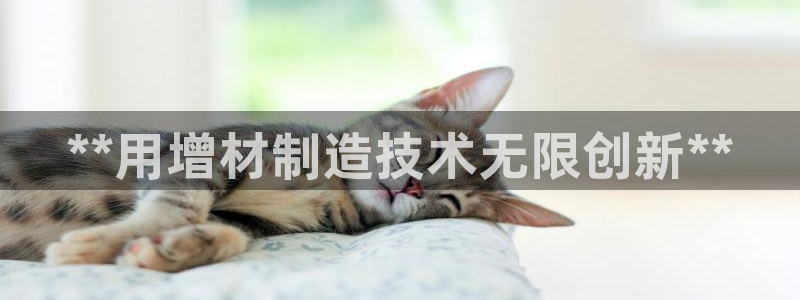 彩神大发云