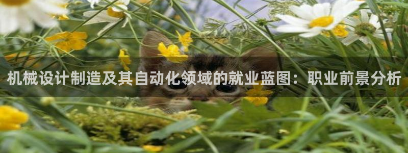 彩神赢的钱是哪里来的：机械设计制造及其自动化领域的就业蓝图：职业前景分析