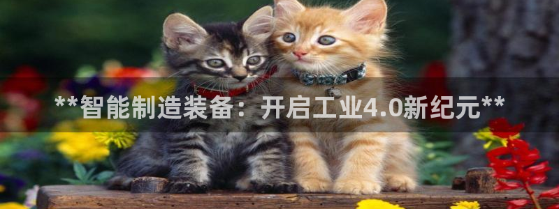 彩神大发黑平台：**智能制造装备：开启工业4.0新纪元**