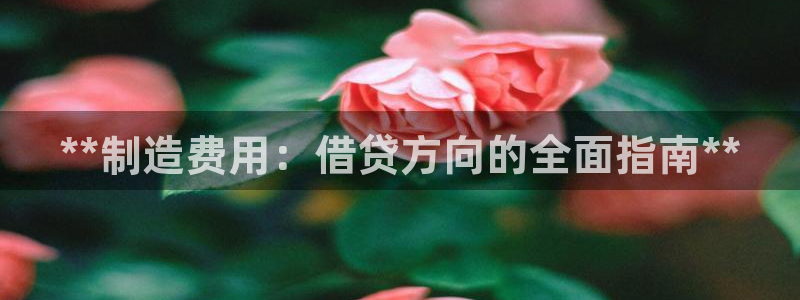 彩神8是正规平台吗安全吗：**制造费用：借贷方向的全面指南**