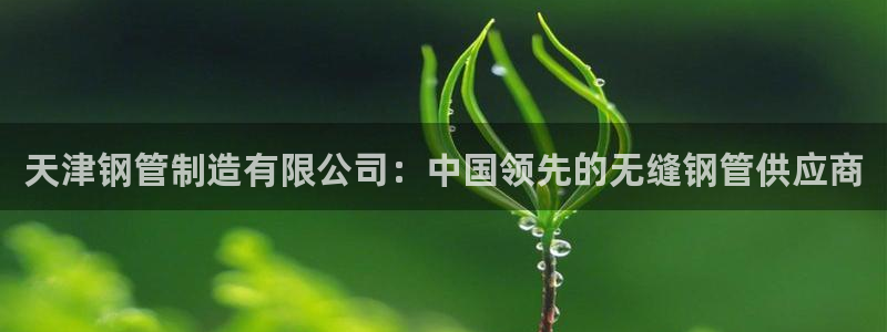 彩神平台是什么套路：天津钢管制造有限公司：中国领先的无缝钢管