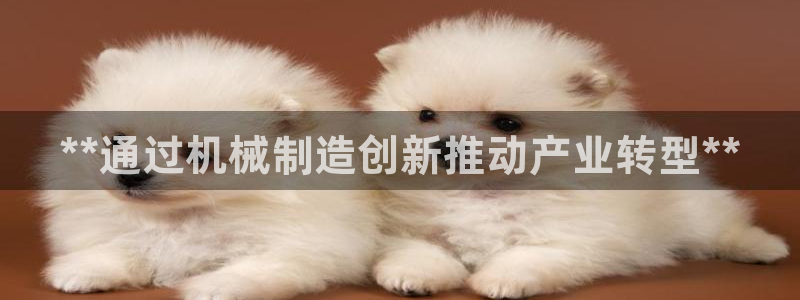 彩神ix平台：**通过机械制造创新推动产业转型**