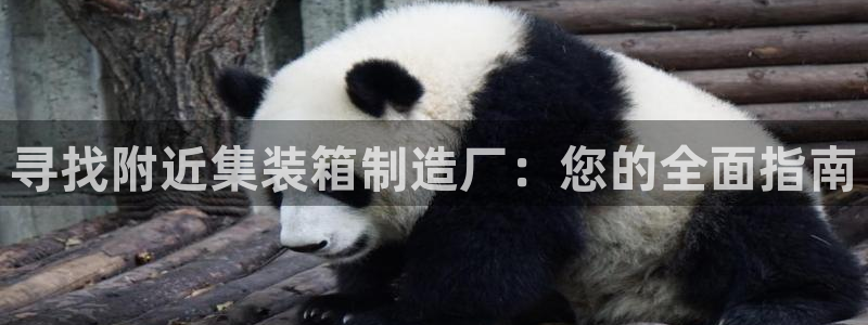 彩神v8手机客户端下载：寻找附近集装箱制造厂：您的全面指南