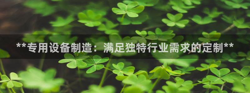 彩神8官网500：**专用设备制造：满足独特行业需求的定制**