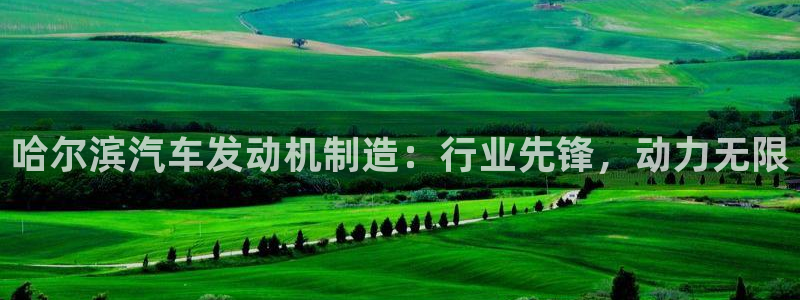 彩神通关注码金码对应码