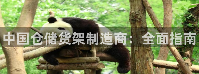 彩神8官网版是正规的吗：中国仓储货架制造商：全面指南