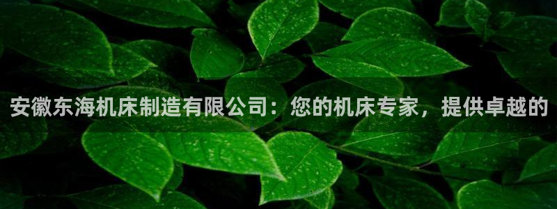 新版彩神v8登录不上去：安徽东海机床制造有限公司：您的机床专